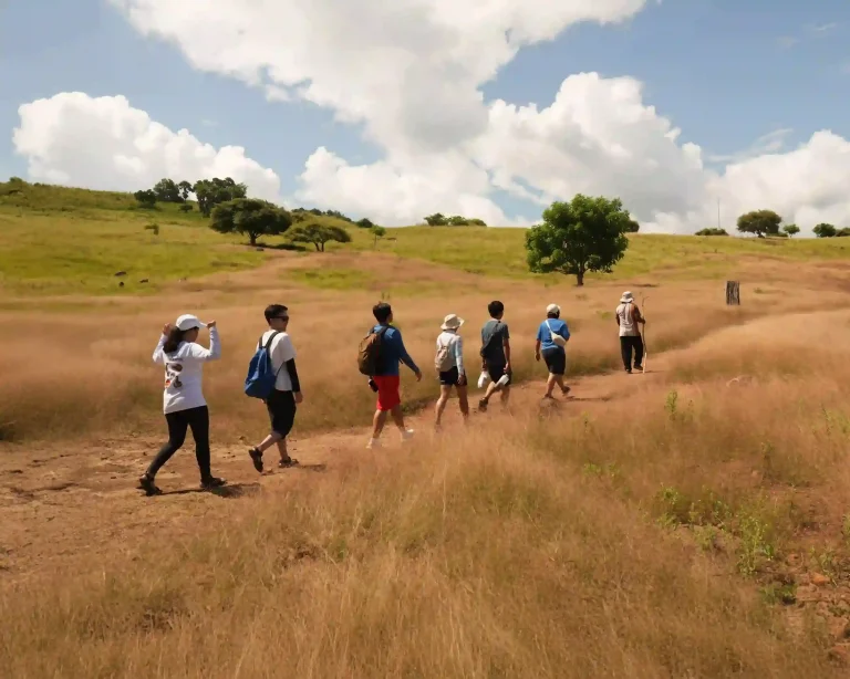 Trekking In Komodo Island