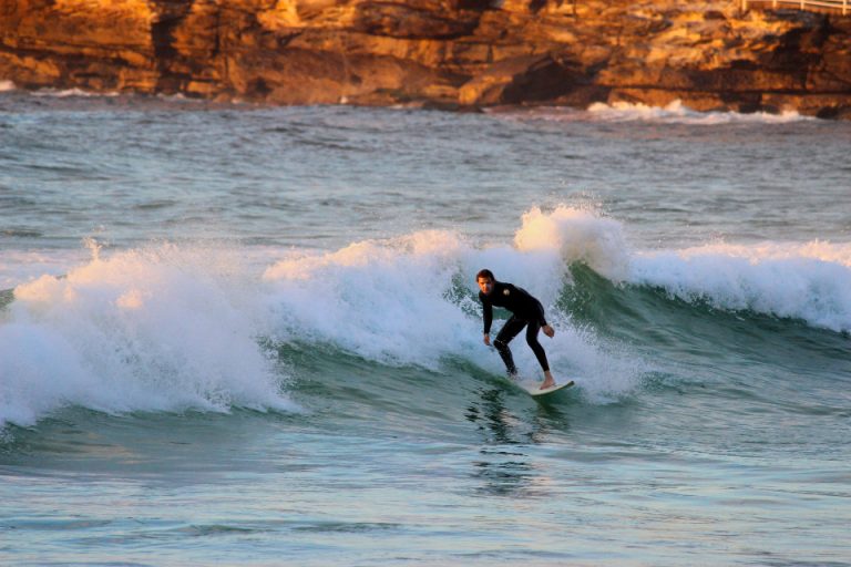 Surfer Wave