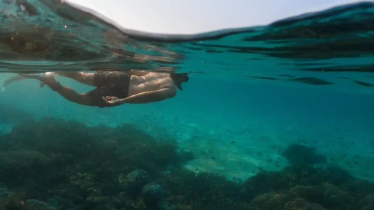 Snorkeling at Misool Raja Ampat